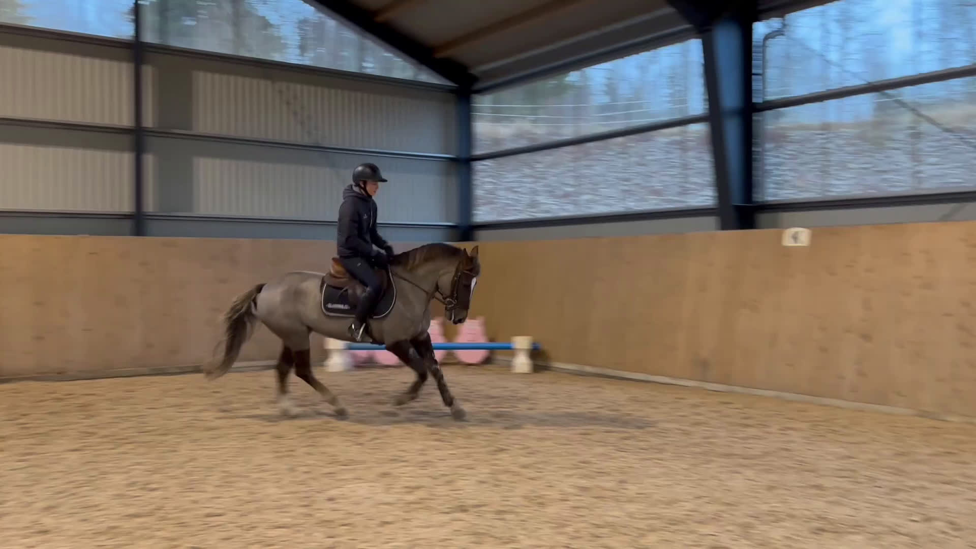 Hoppning hästar till salu: Underbar ponny & bästa vän i Habo - Video 3