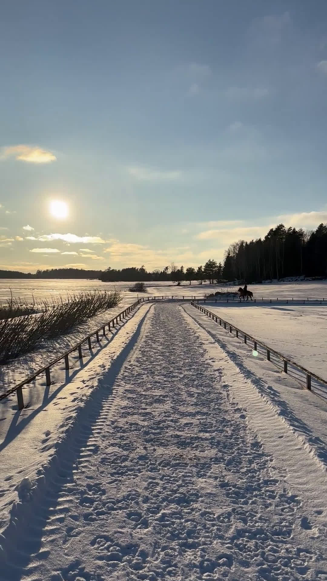 medryttarhäst sökes: Islandshäst söker medryttare i Västerhaninge - Video 1