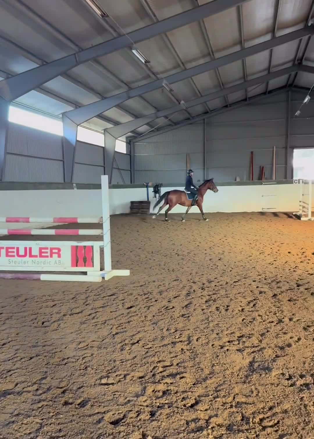 Allround hästar till salu: Hobby eller mor/dotter häst! - Video 3