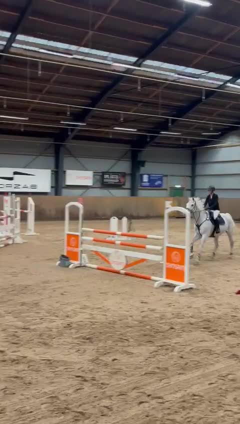 Allround hästar till salu: Erfaren och stabil hopphäst  - Video 3