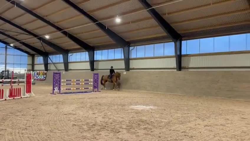 Hoppning hästar till salu: Sto med potential  i Trelleborg - Video 1