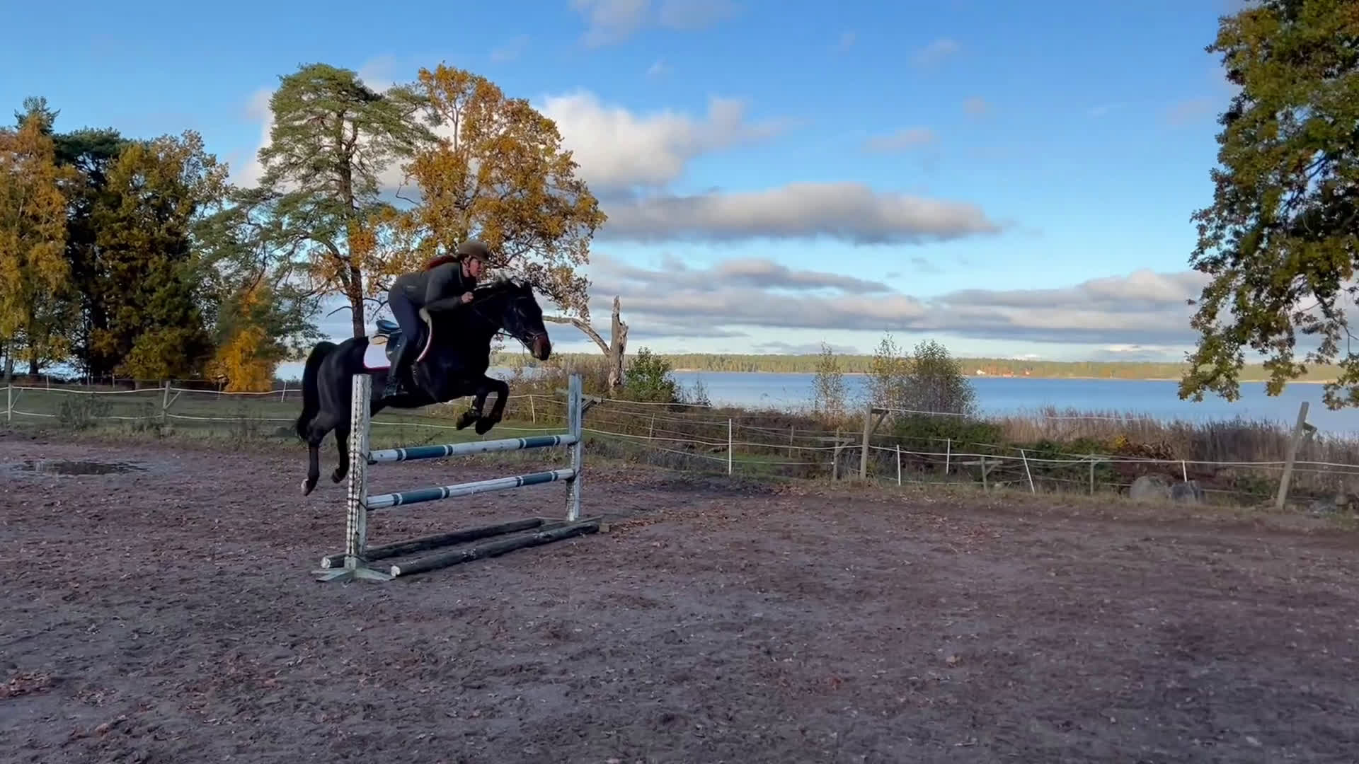 Allround hästar till salu: Tillfälligt Prissänkt! i Västervik - Video 1