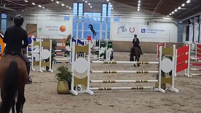 Hoppning hästar till salu: Kapabelt sto med bra karaktär  i Slöinge - Video 1