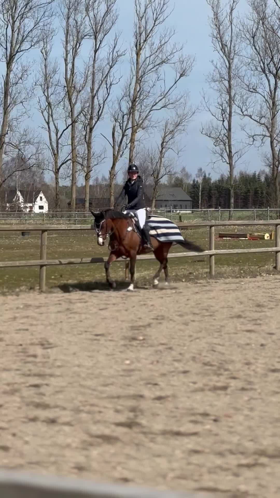  hästjobb finnes: Behöver du hjälp med din häst/ponny? 🫶🏻 i Ystad - Video 2