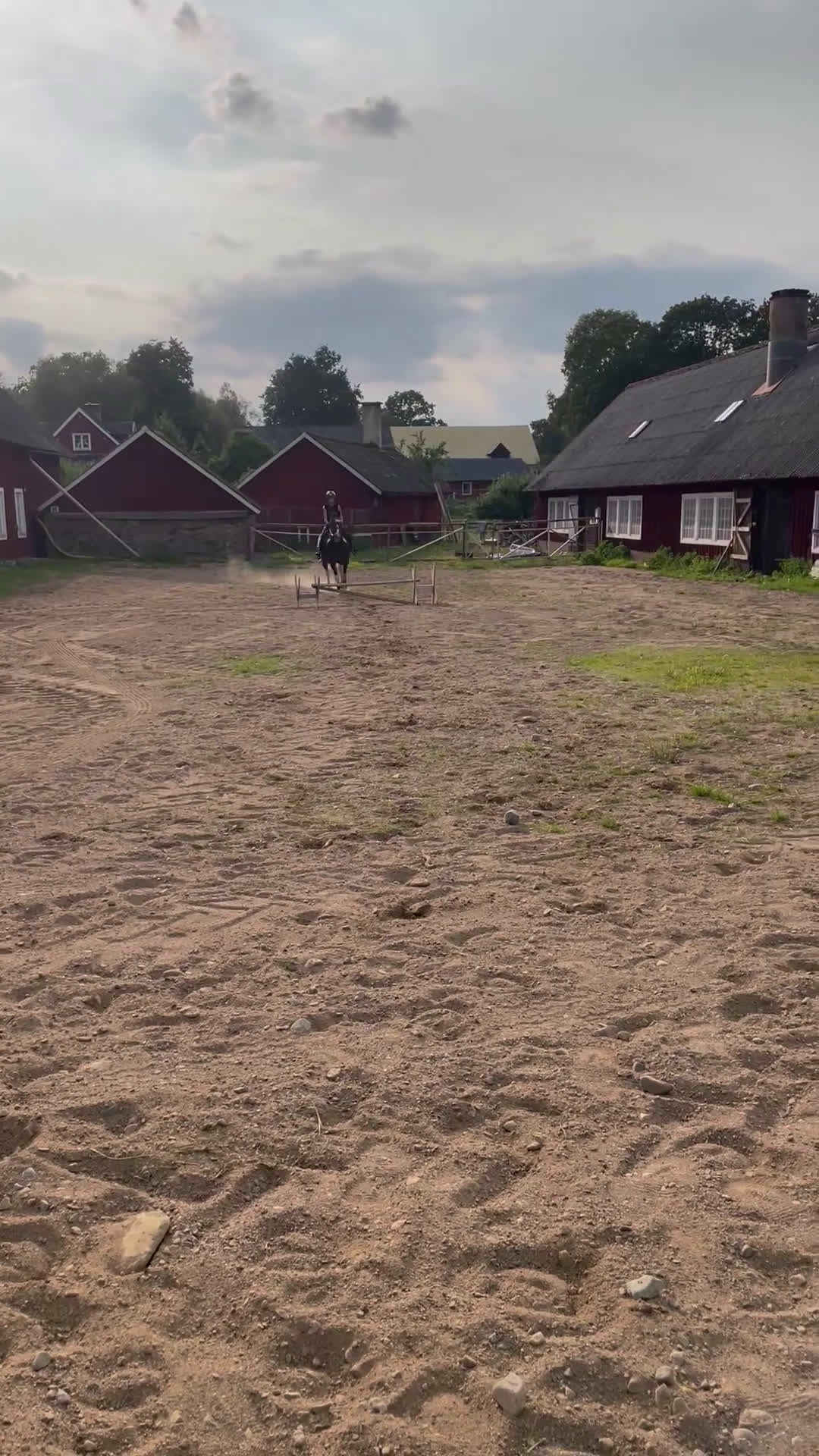 Allround hästar till salu: Genomsnäll hobbyhäst  i Linneryd - Video 2