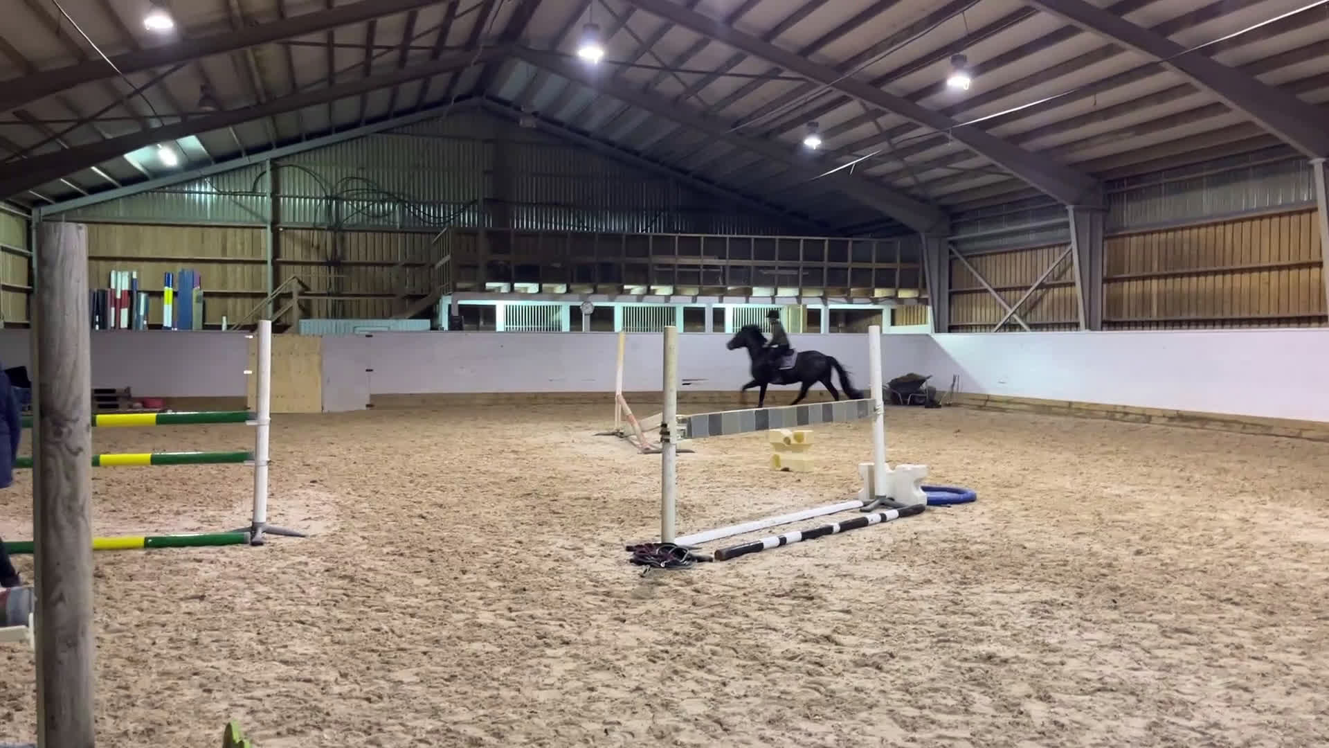 Hoppning hästar till salu: Svensk ridponny e.Converse All Star - Video 5