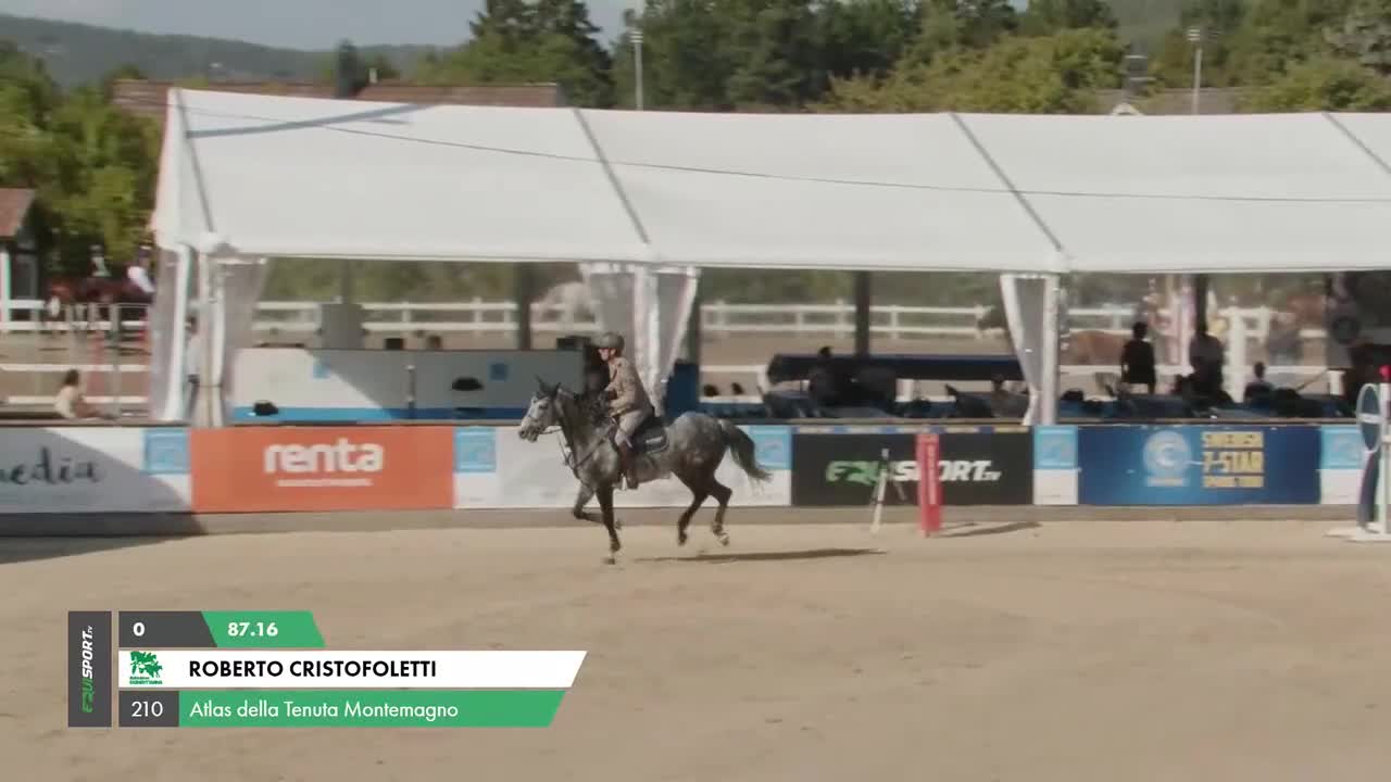 Allround hästar till salu: Häst för svår klass i både hoppning och dressyr! - Video 3