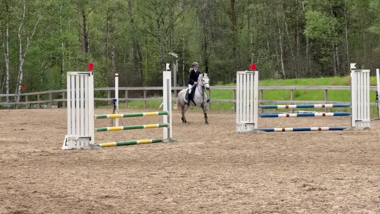 Hoppning hästar till salu: Ungponny SM 2026  - Video 4