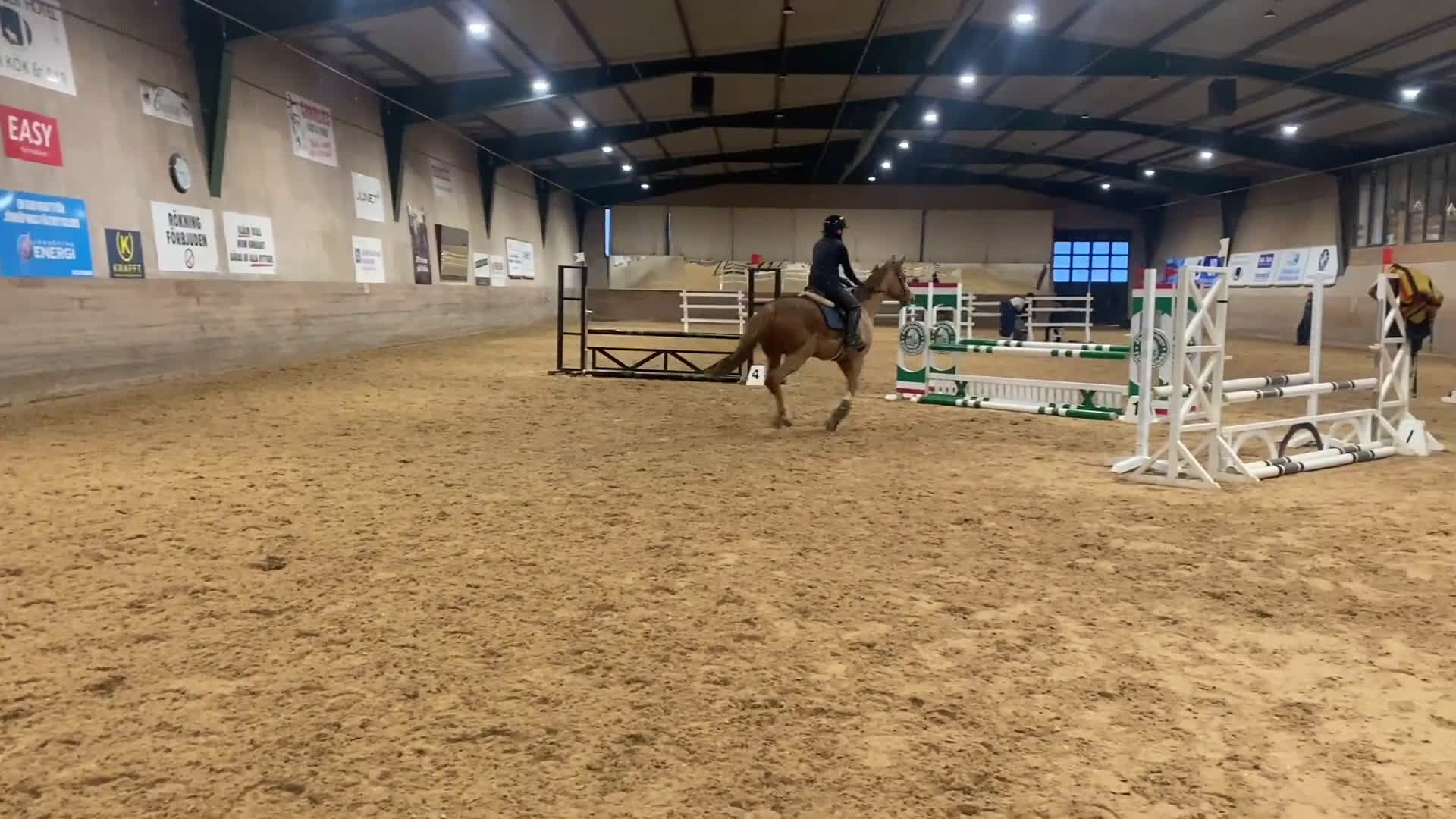 Allround hästar till salu: Trevlig valack 6 år - allround/fälttävlan - Video 4