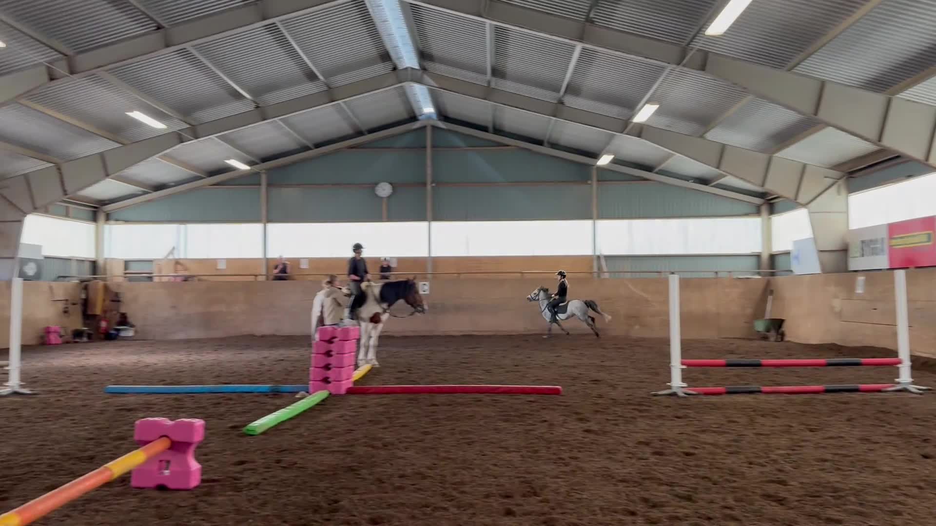 Hoppning hästar till salu: Hoppglad ungponny  - Video 1