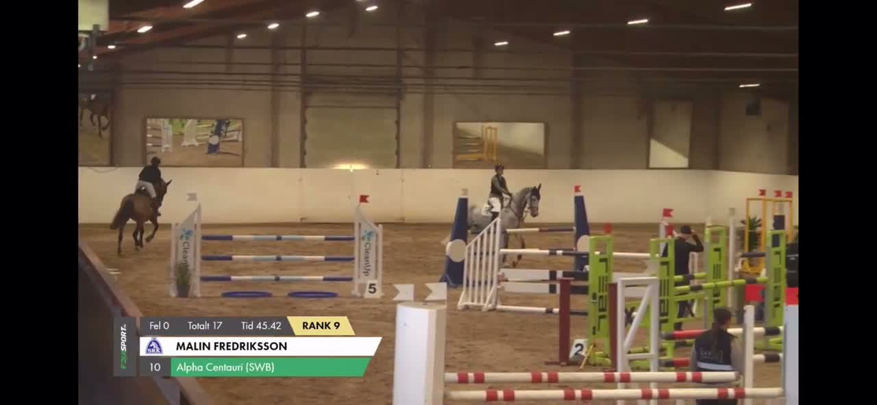 Allround hästar till salu: Fantastisk häst som kan både hoppning o dressyr🤩 - Video 3
