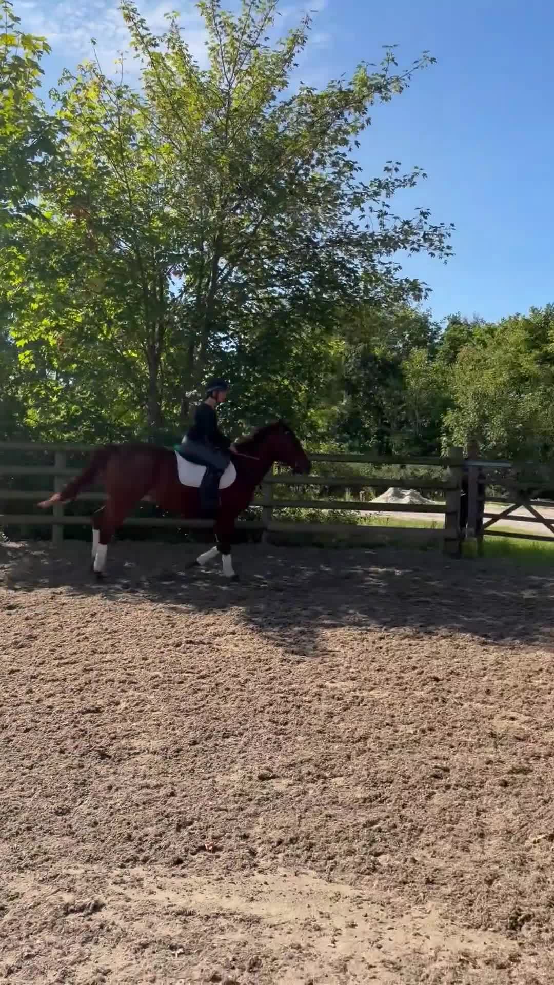 Allround hästar till salu: Fin tjej med talang - Video 1