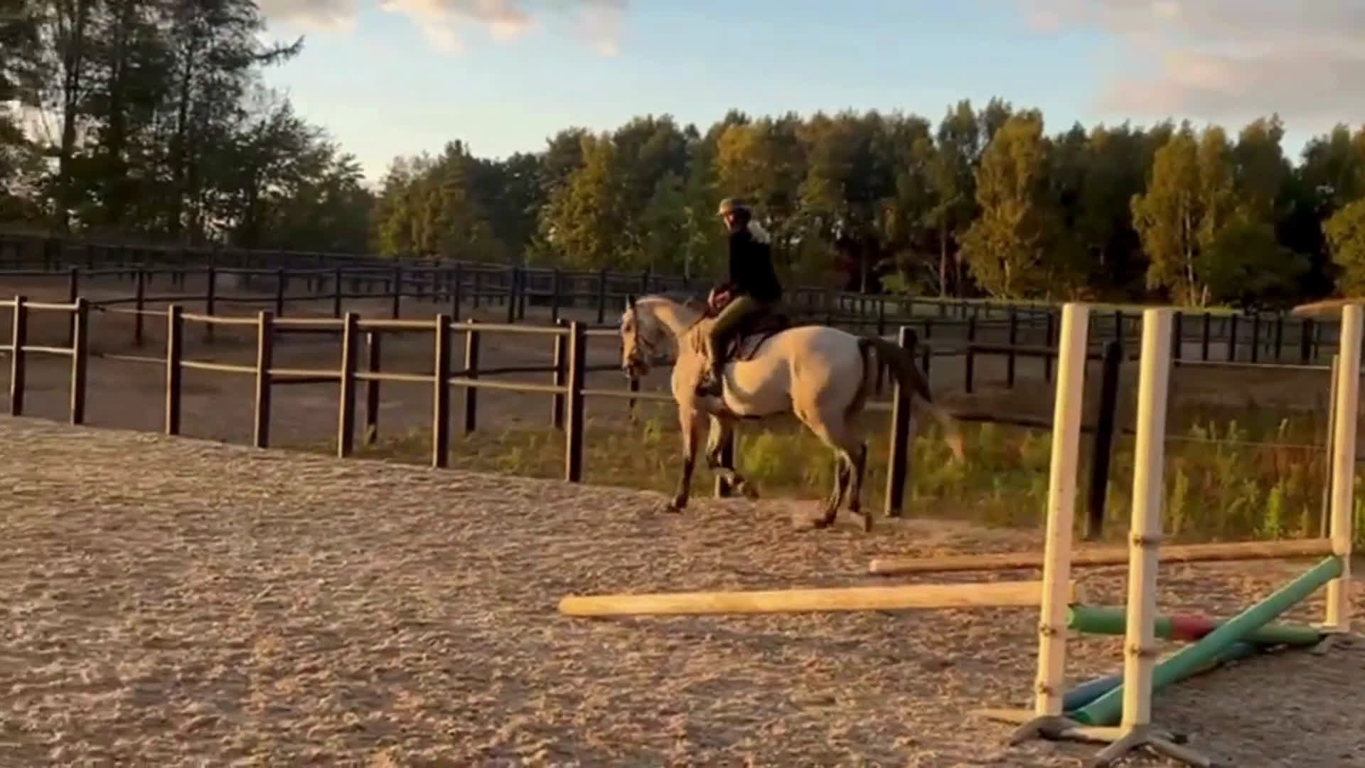 Hoppning hästar till salu: En oslipad diamant i Blentarp - Video 1