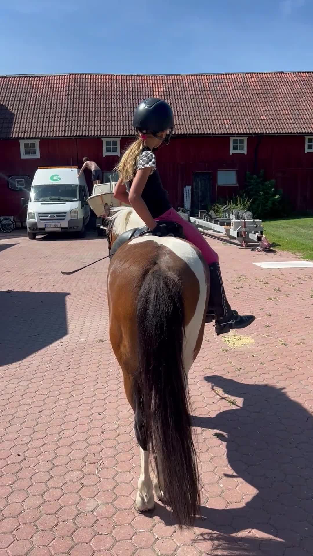 Allround hästar till salu: Thelma - 🩷 i Enköping - Video 4