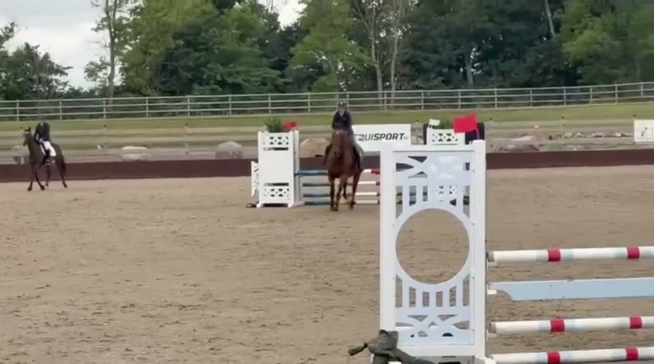 Allround hästar till salu: Fin allround häst - Video 3