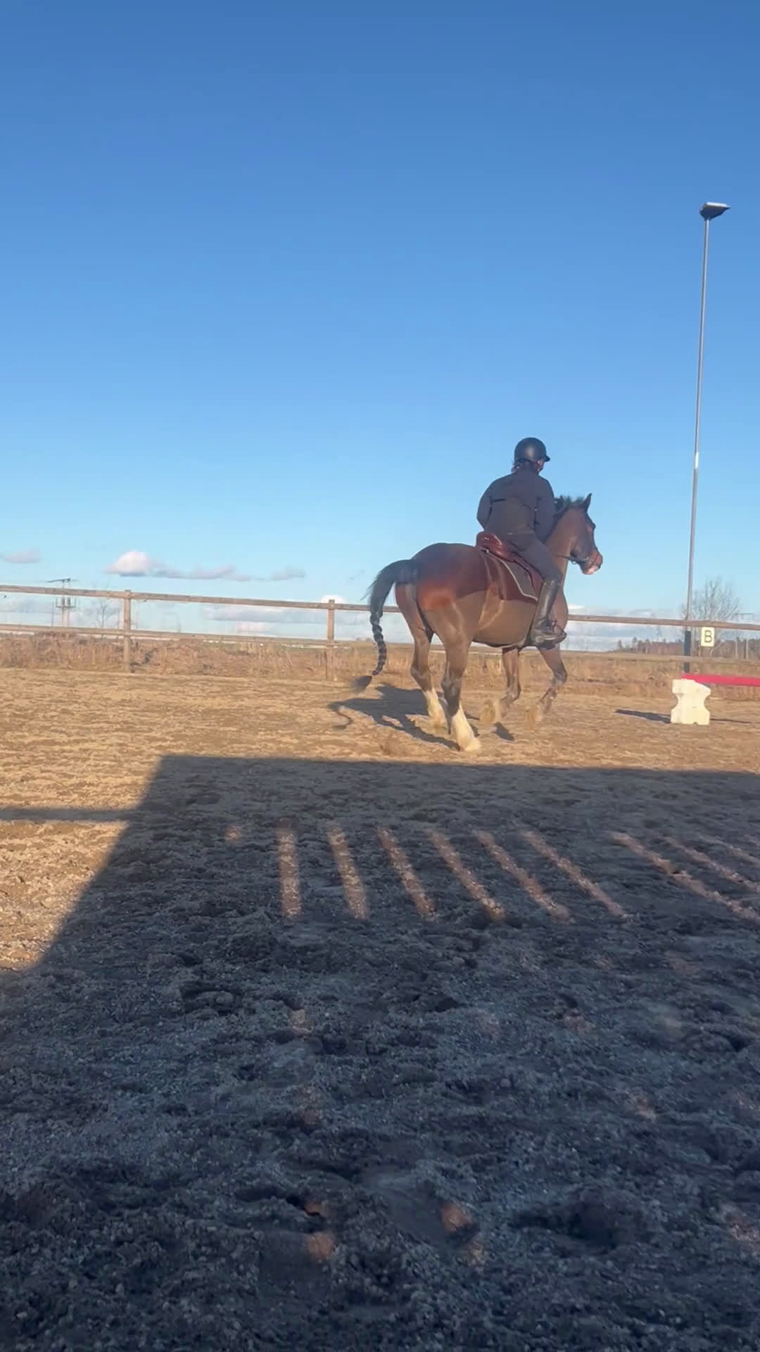  foderhäst finnes: Läromästare & tränings kompis - Video 1