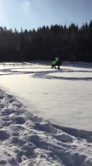 Allround hästar till salu: Tinkervalack i Linköping - Video 3