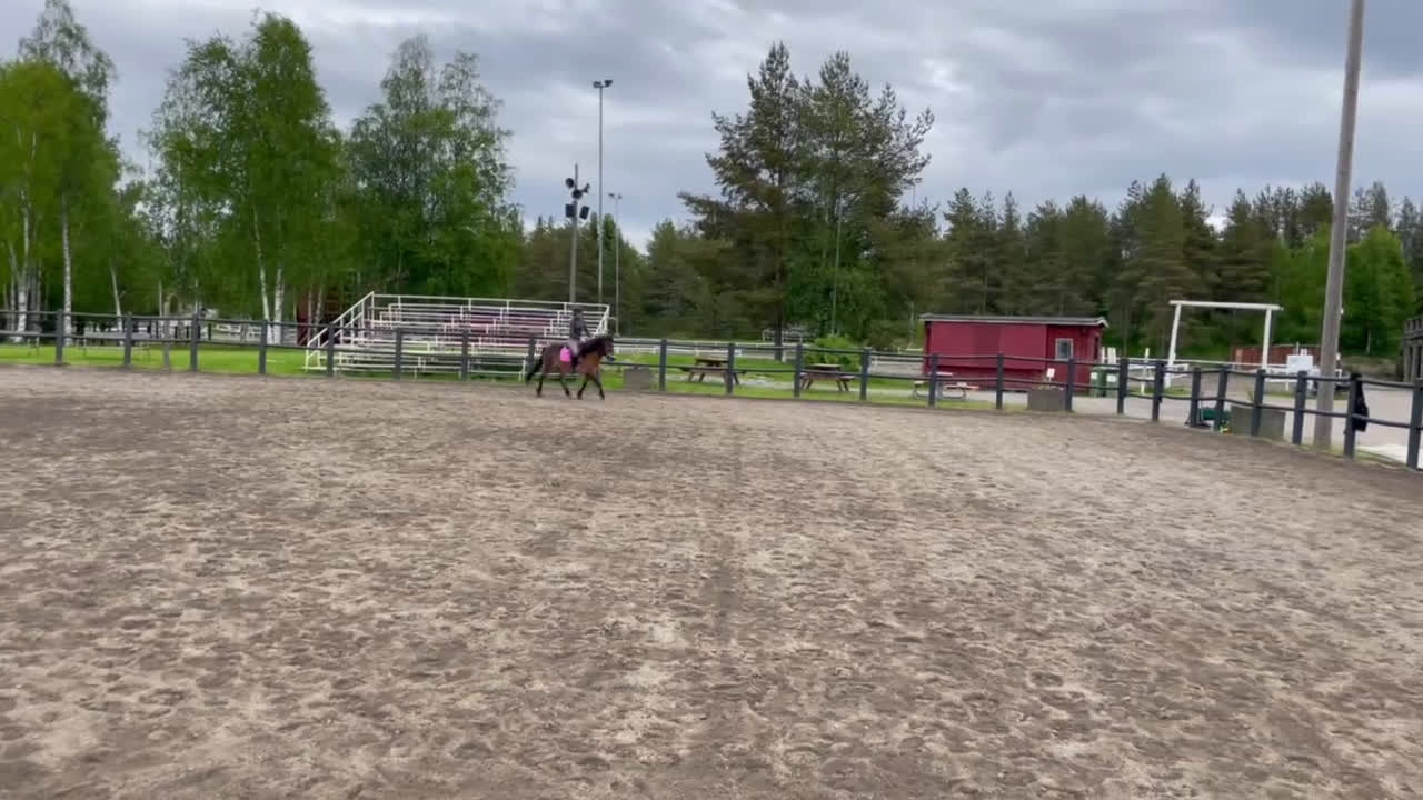 Allround hästar till salu: Allroundponny i Umeå - Video 2