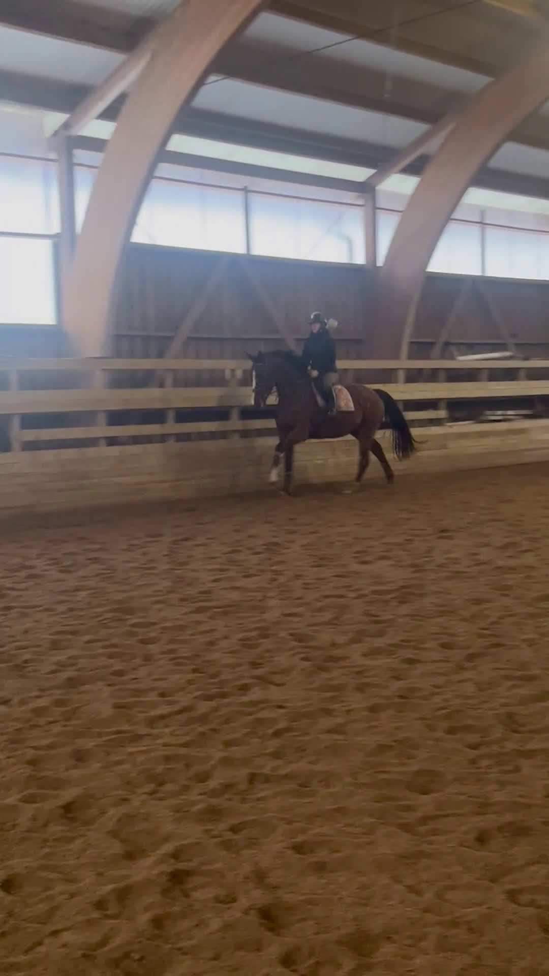 Allround hästar till salu: Perfekt sto för framtiden!  i Nybro - Video 2