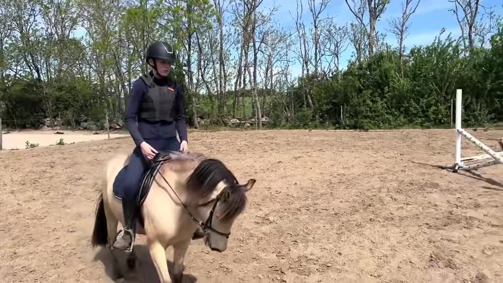 Allround hästar till salu: Mycket trevlig ponny  - Video 3