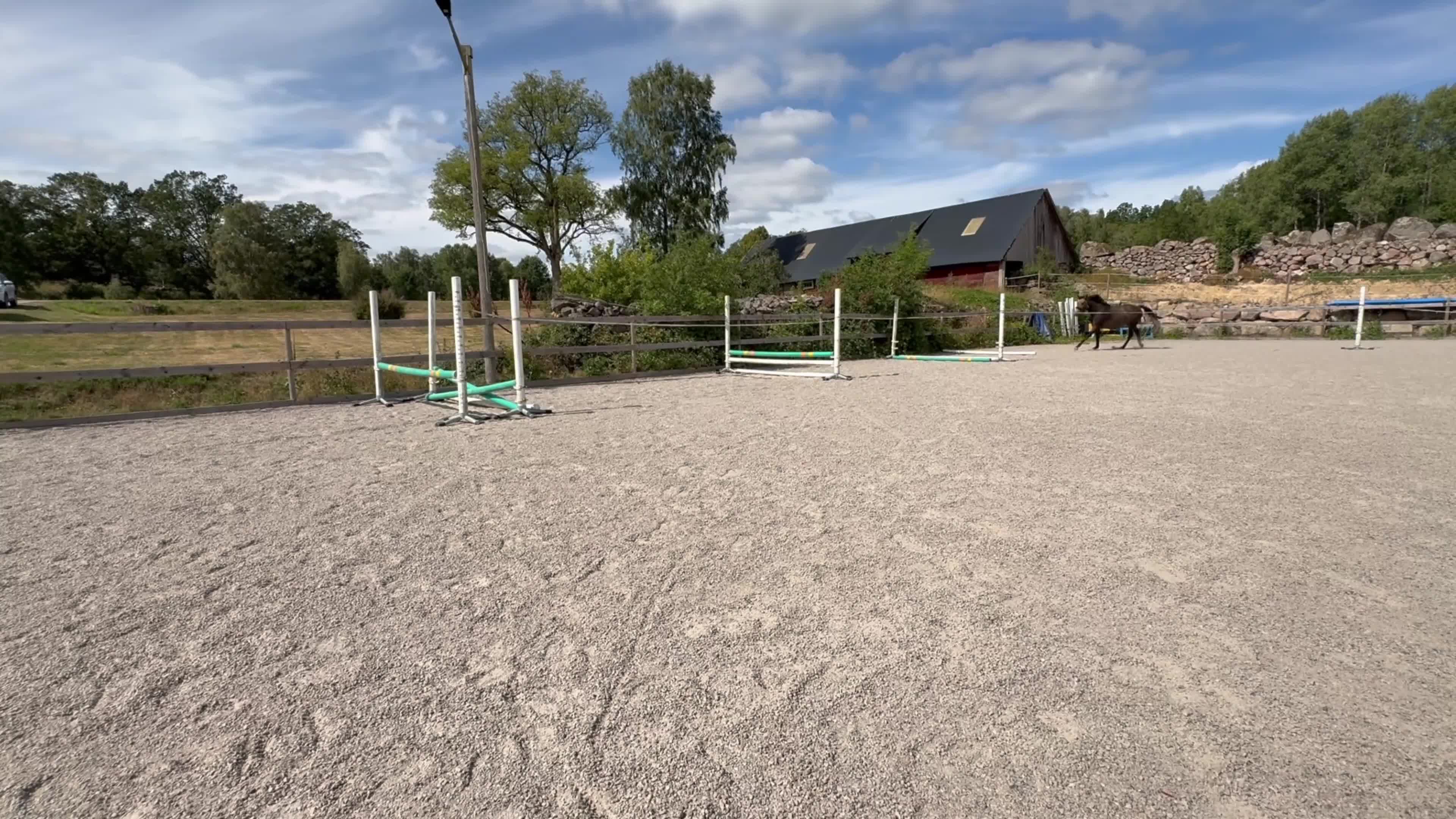 Allround hästar till salu: Otroligt trevlig 3åring valack!  - Video 1