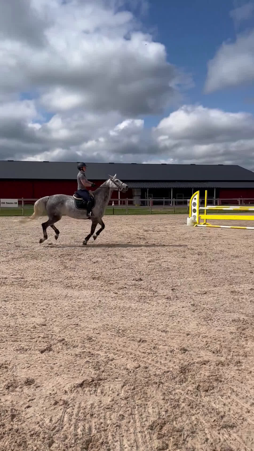 Fälttävlan hästar till salu: Fantastiskt SWB-sto för hopp/fälttävlan i Vetlanda - Video 5