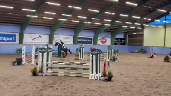 Hoppning hästar till salu: Bästavän i Fristad - Video 1