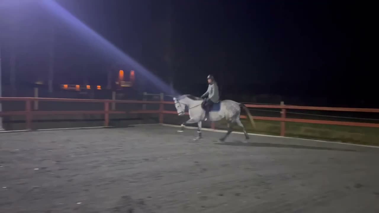 Allround hästar till salu: Trevlig häst med potential - Video 1