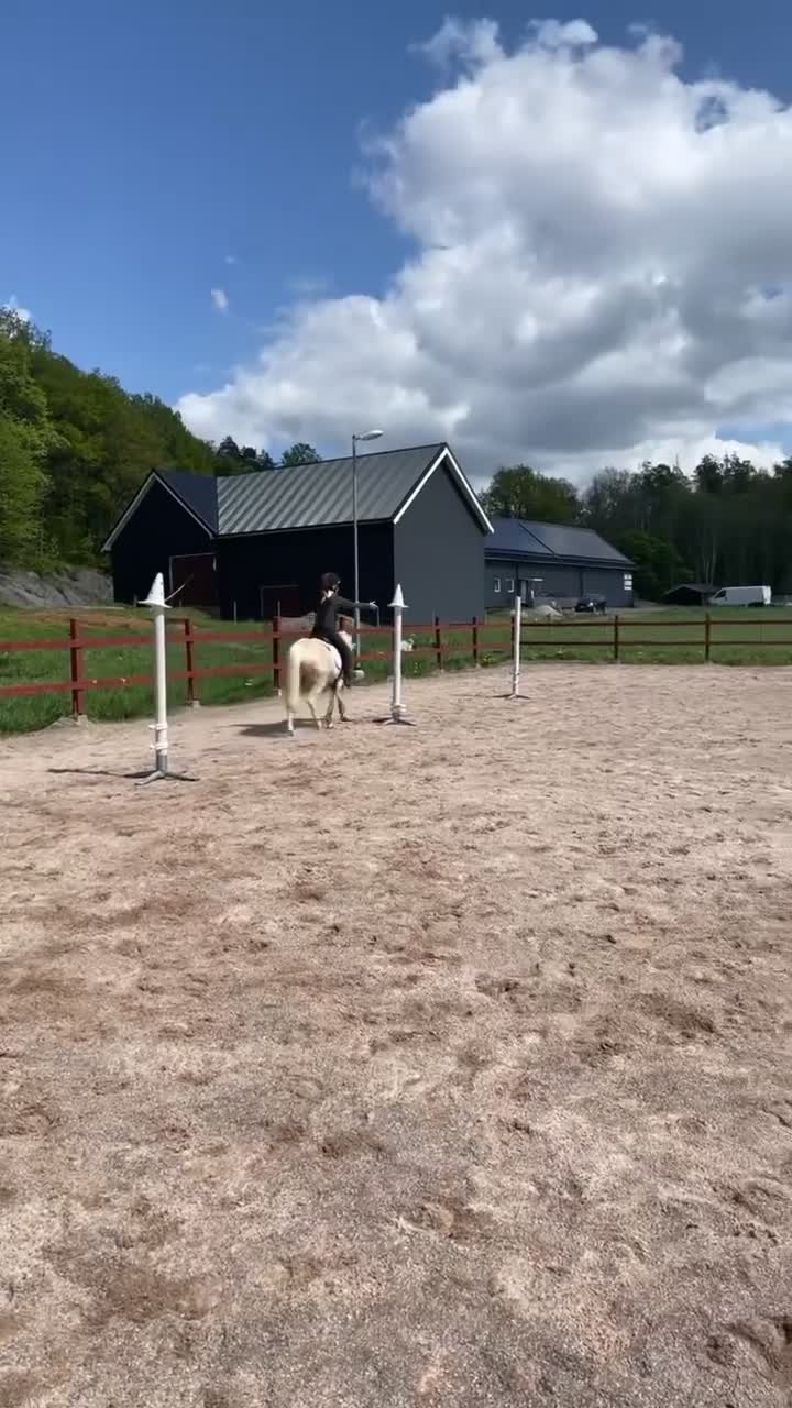 Allround hästar till salu: Charmig och pigg B-ponny söker sin nya ryttare ❤️ - Video 1