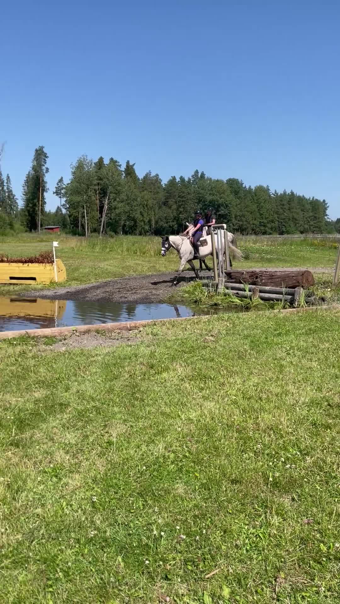Allround hästar till salu: Sportigt sto  i Nykvarn - Video 2