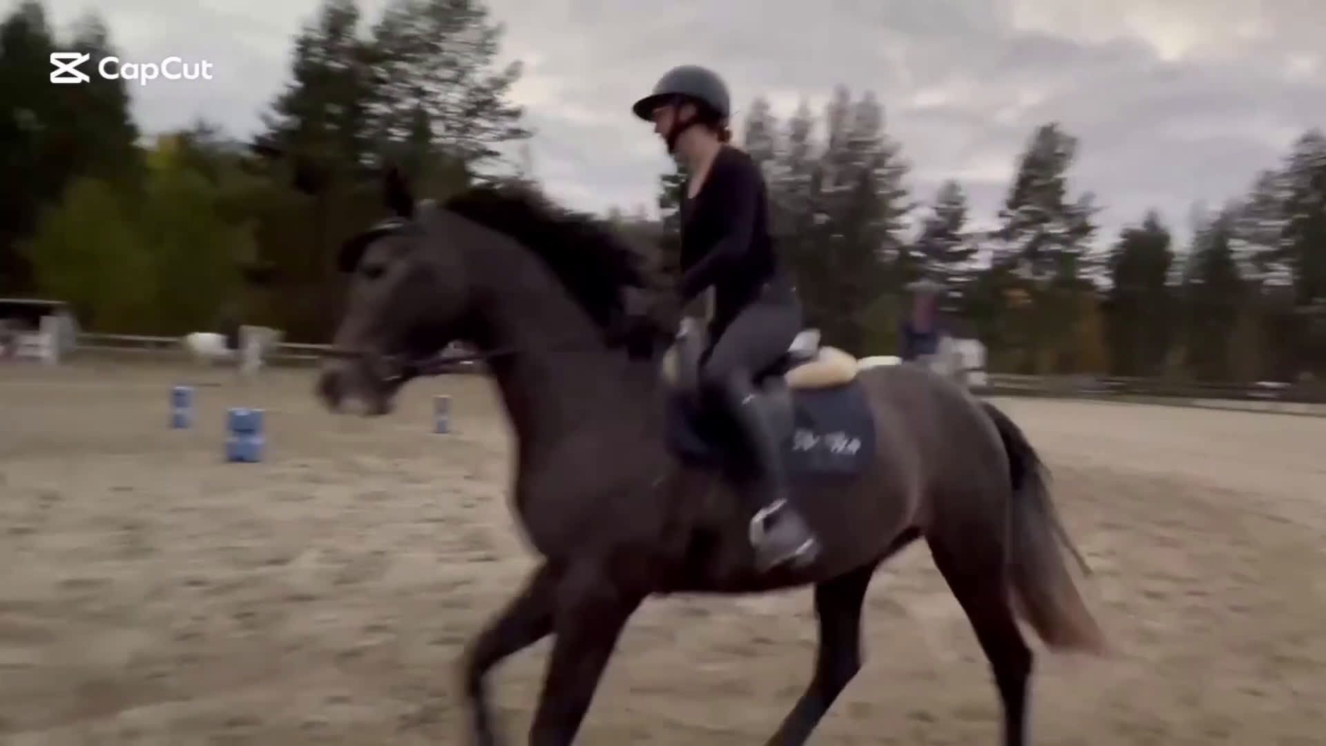 Allround hästar till salu: Sockersöt valack säljes! - Video 2