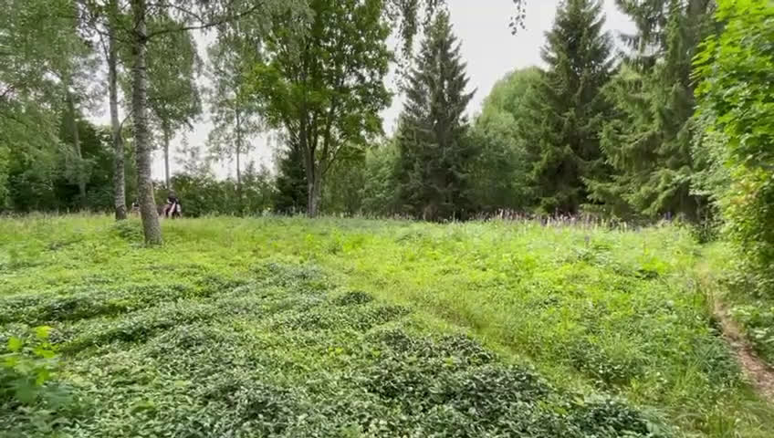  hästservice finnes: Julklappstips! Ridläger sommaren 2026 i Lidköping - Video 3