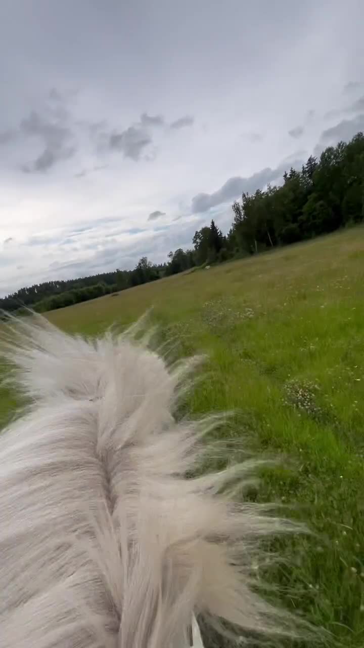  stallplats finnes: Sommarbete(och lösdriftplats till hösten) finnes! i Knivsta - Video 1