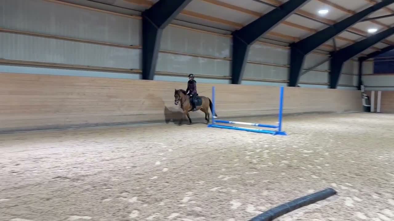 Allround hästar till salu: Superhärlig ungponny!❣️ - Video 5