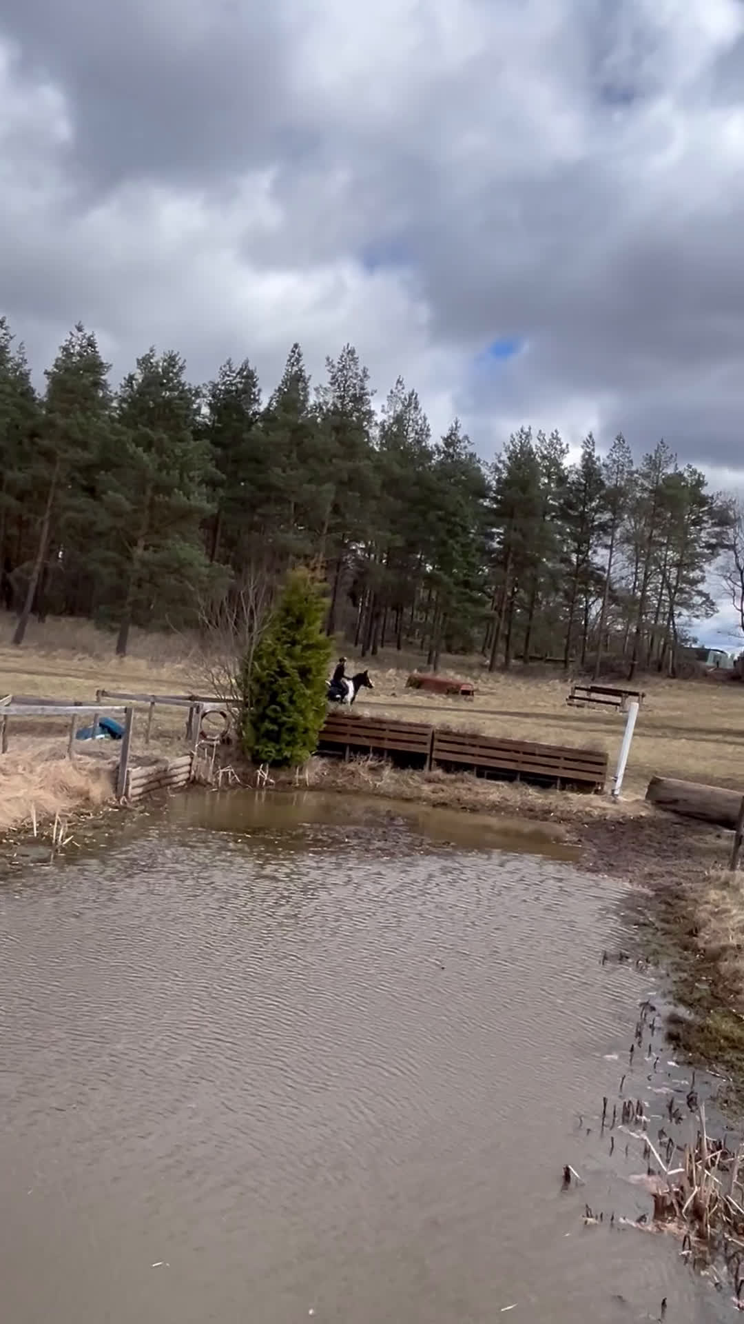 Hoppning hästar till salu: Bästa vän och stjärna ⭐️  - Video 3