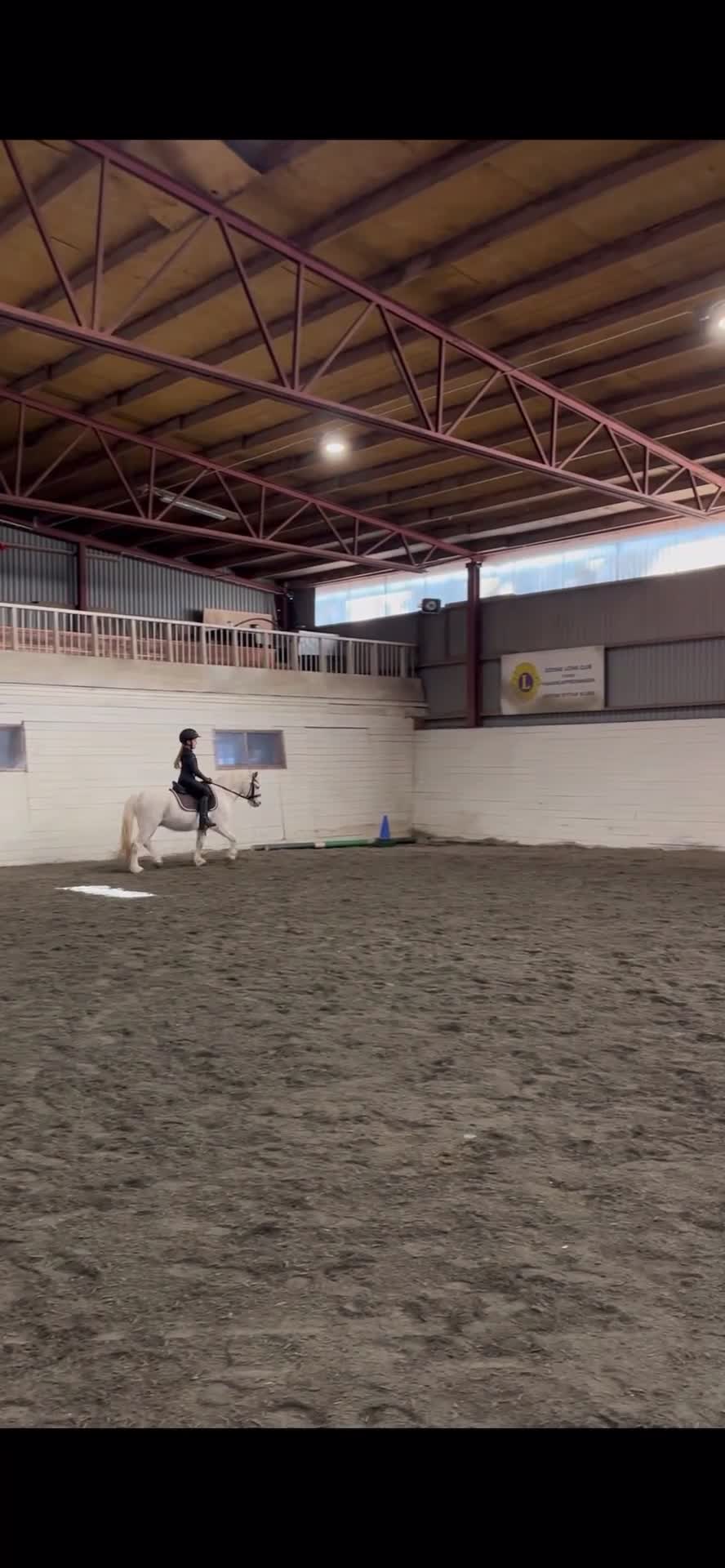 Dressyr hästar till salu: Läromästare  - Video 4