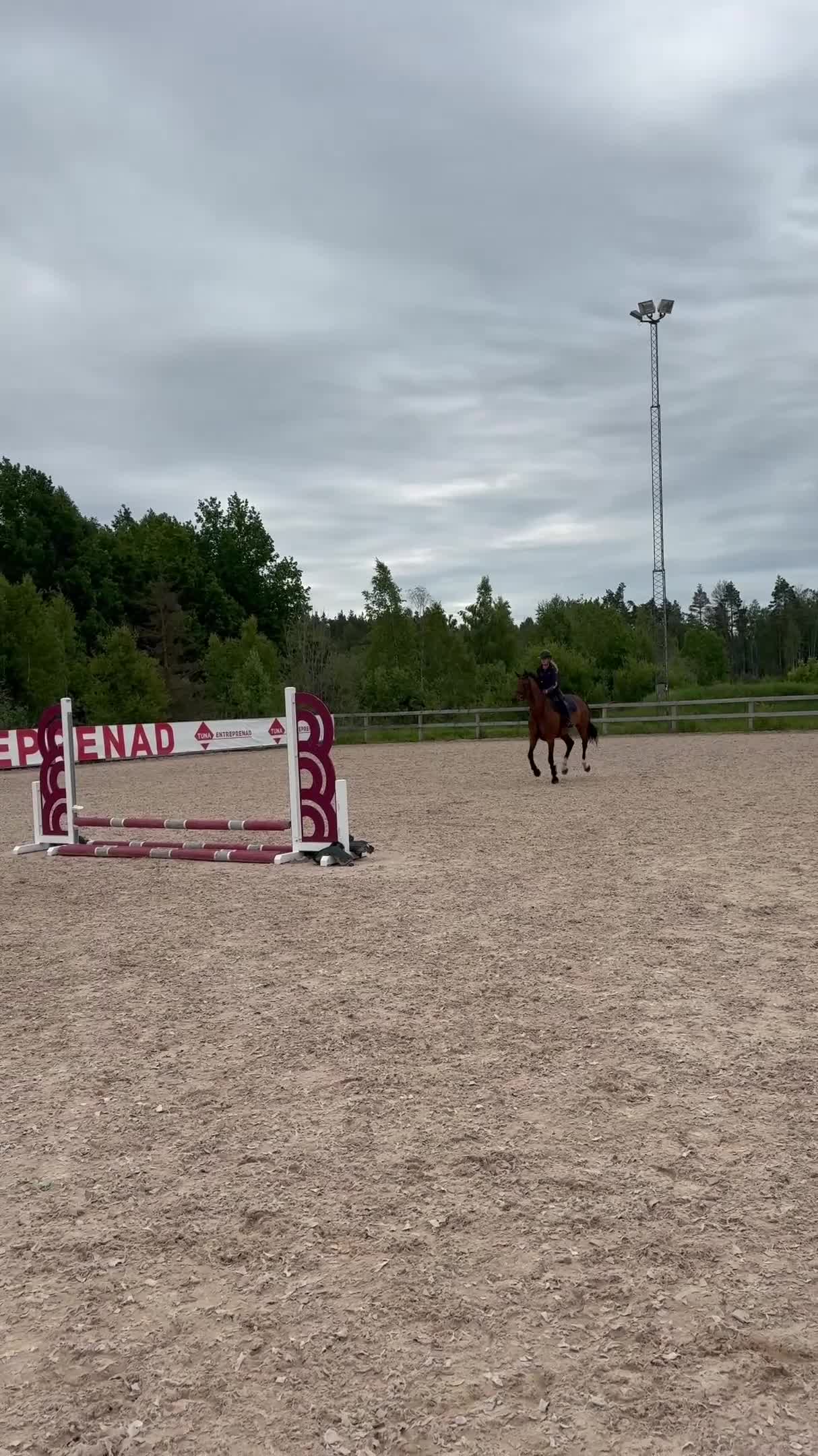 Hoppning hästar till salu: Lovande hopphäst e. Gamelus - Ludwigs Champion - Video 3
