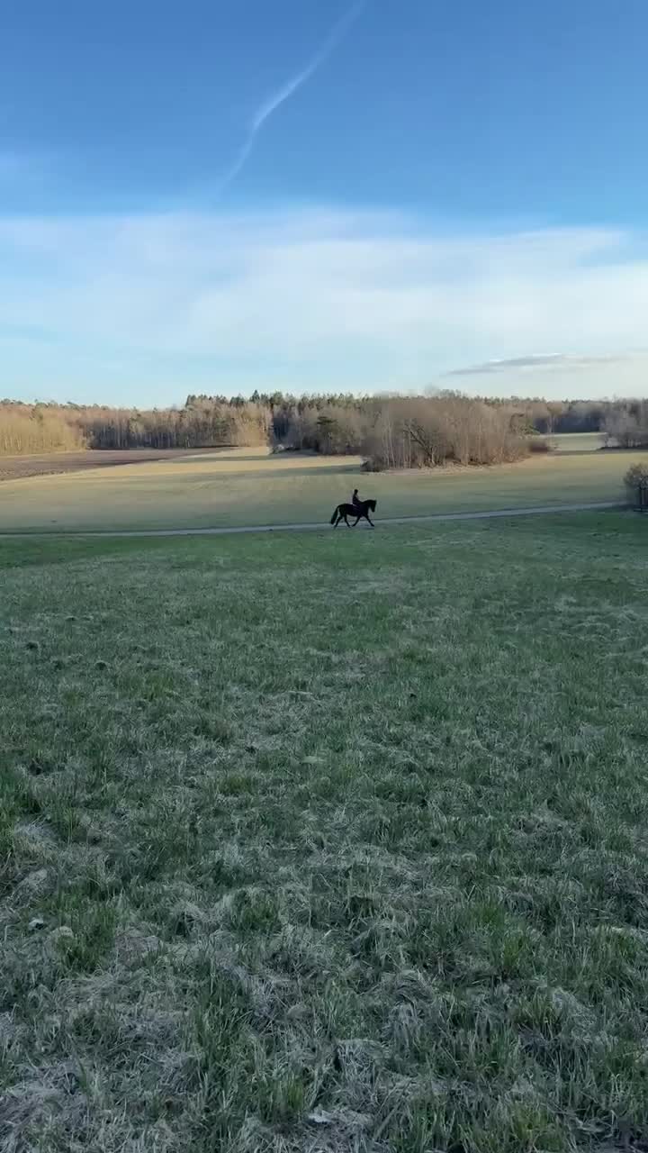 Allround hästar till salu: Vacker welsh cob ⭐️ i Göteborg - Video 4
