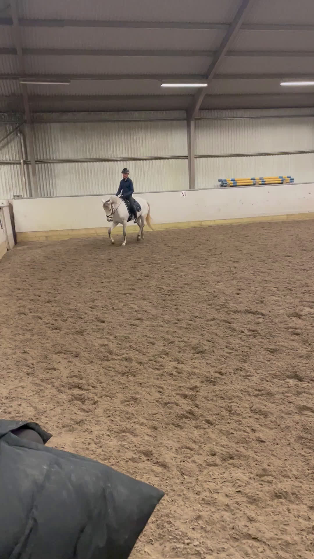 Allround hästar till salu: Cool Connemara för hopp, dressyr och terräng! - Video 5