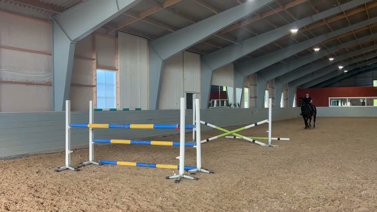 Allround hästar till salu: Snygg tränings och tävlingskompis  - Video 2