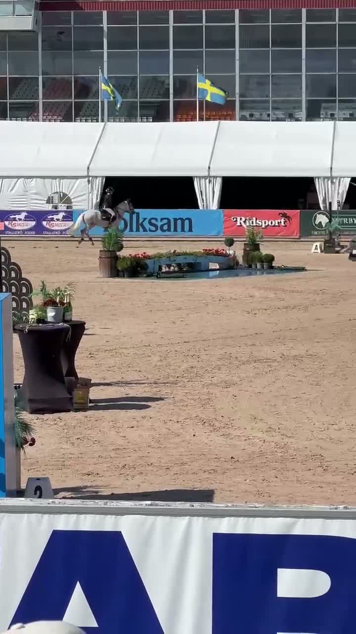 Hoppning hästar till salu: 🌟Häftig ponny🌟 - Video 1