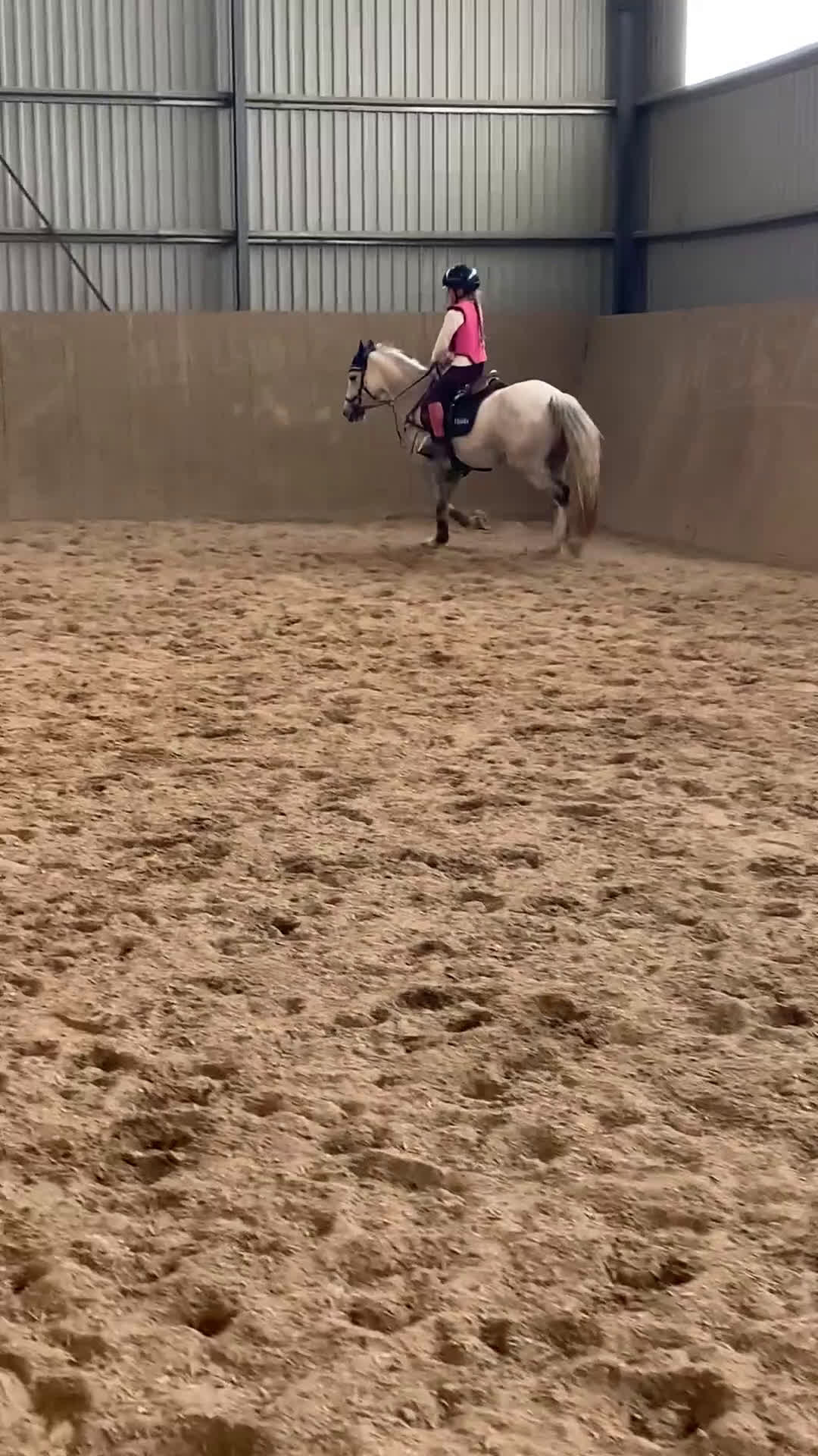 Hoppning hästar till salu: En oslipad diamant i Ytterby - Video 3