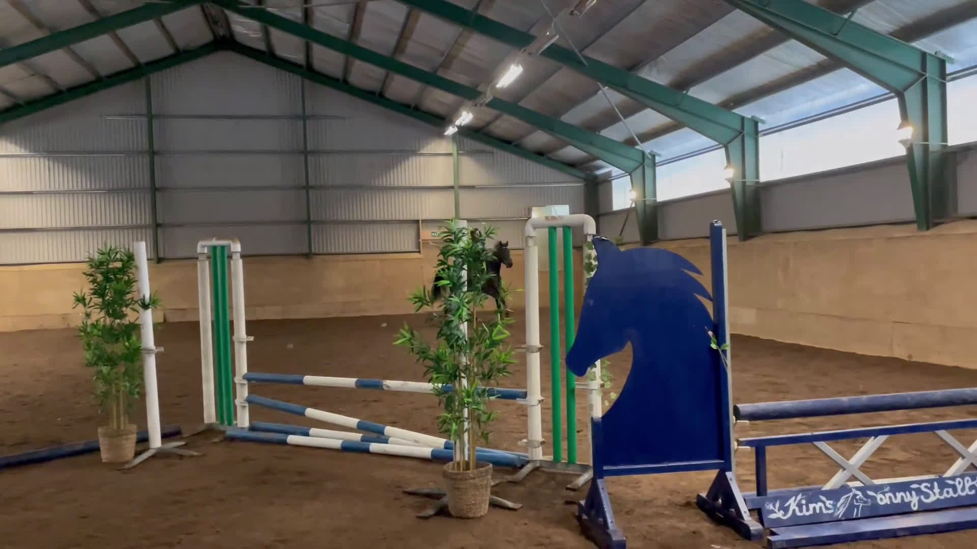 Allround hästar till salu: Avel/projekt i Enköping - Video 2