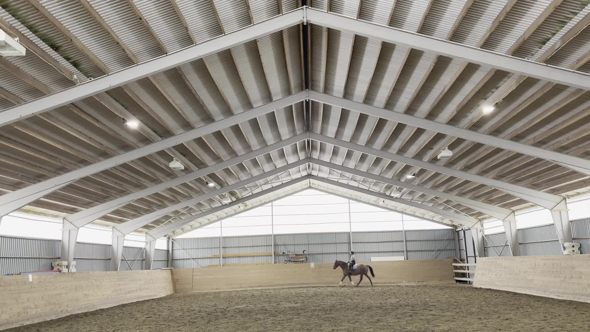 Allround hästar till salu: Lyxig allroundhäst - Video 3