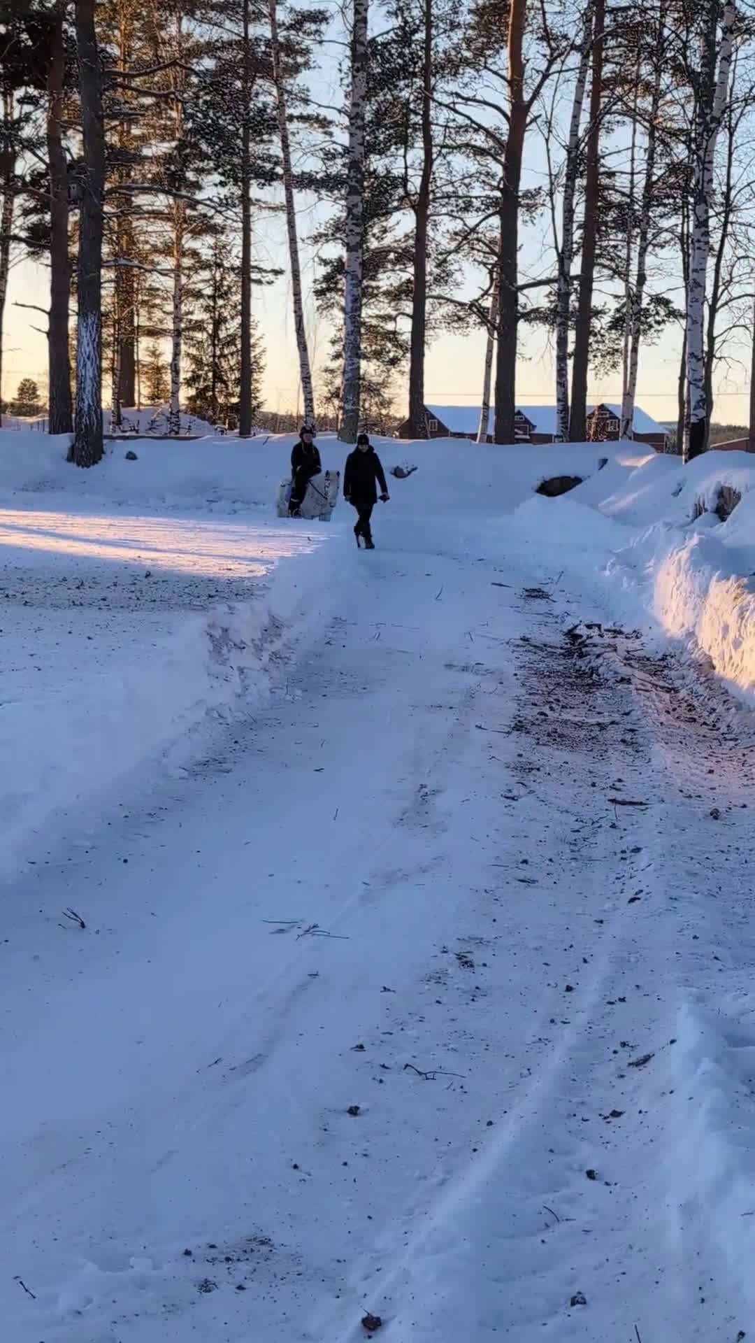 Sällskap hästar till salu: Snäll ponny söker nytt hem - Video 2