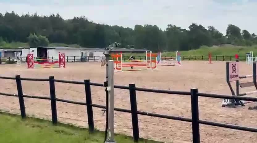 Hoppning hästar till salu: Selektionssto med placeringar i 1.45 - Video 1