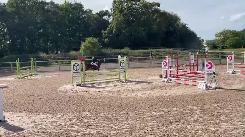 Hoppning hästar till salu: Fantastisk tävlingsponny och bästa vän! - Video 1