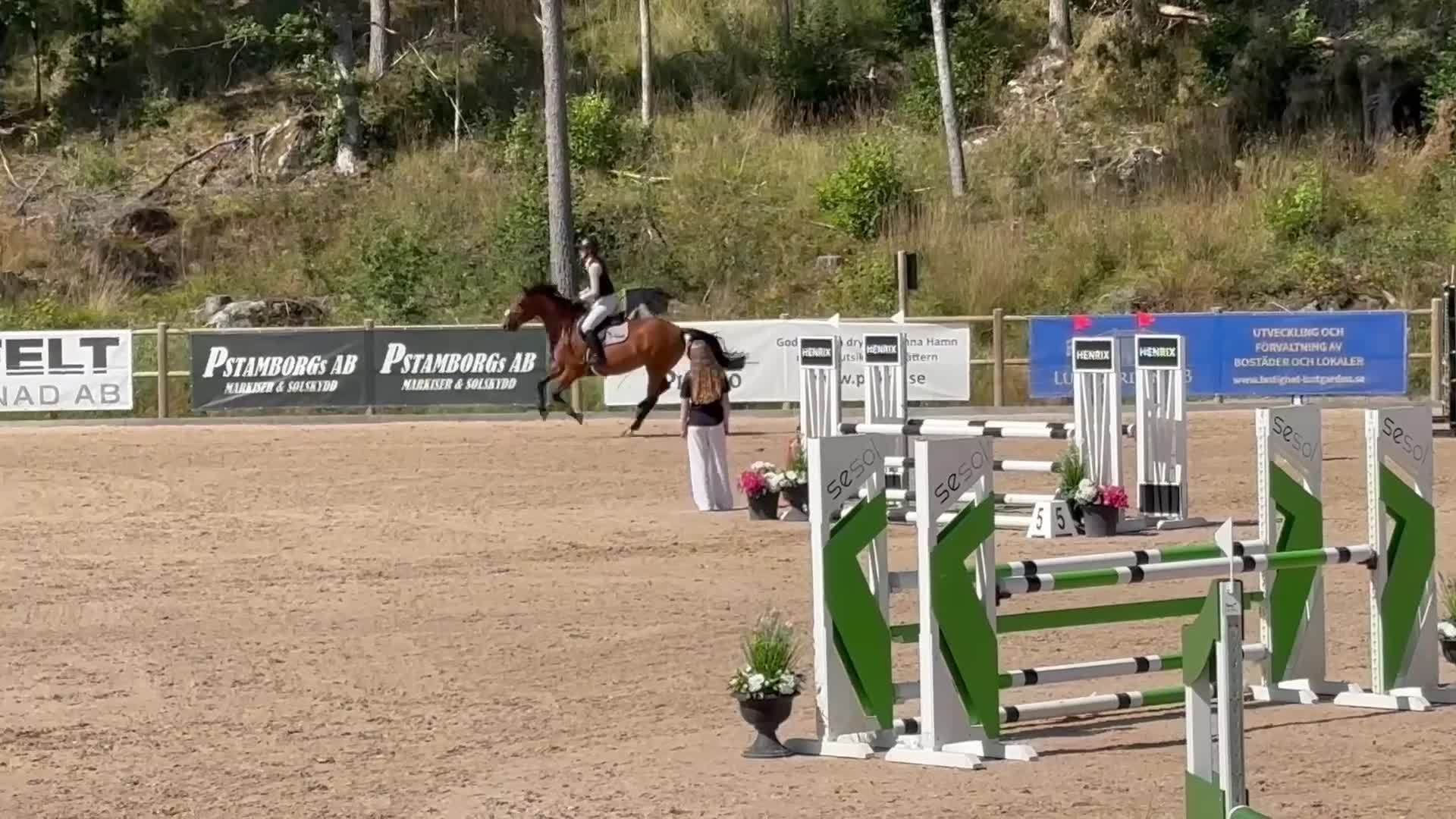 Hoppning hästar till salu: Trevlig häst som blir vad du gör henne till! - Video 2