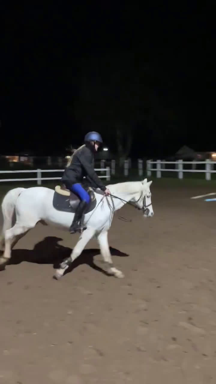 Hoppning hästar till salu: ⭐️Världens bästa ponny⭐️ i Källby - Video 2