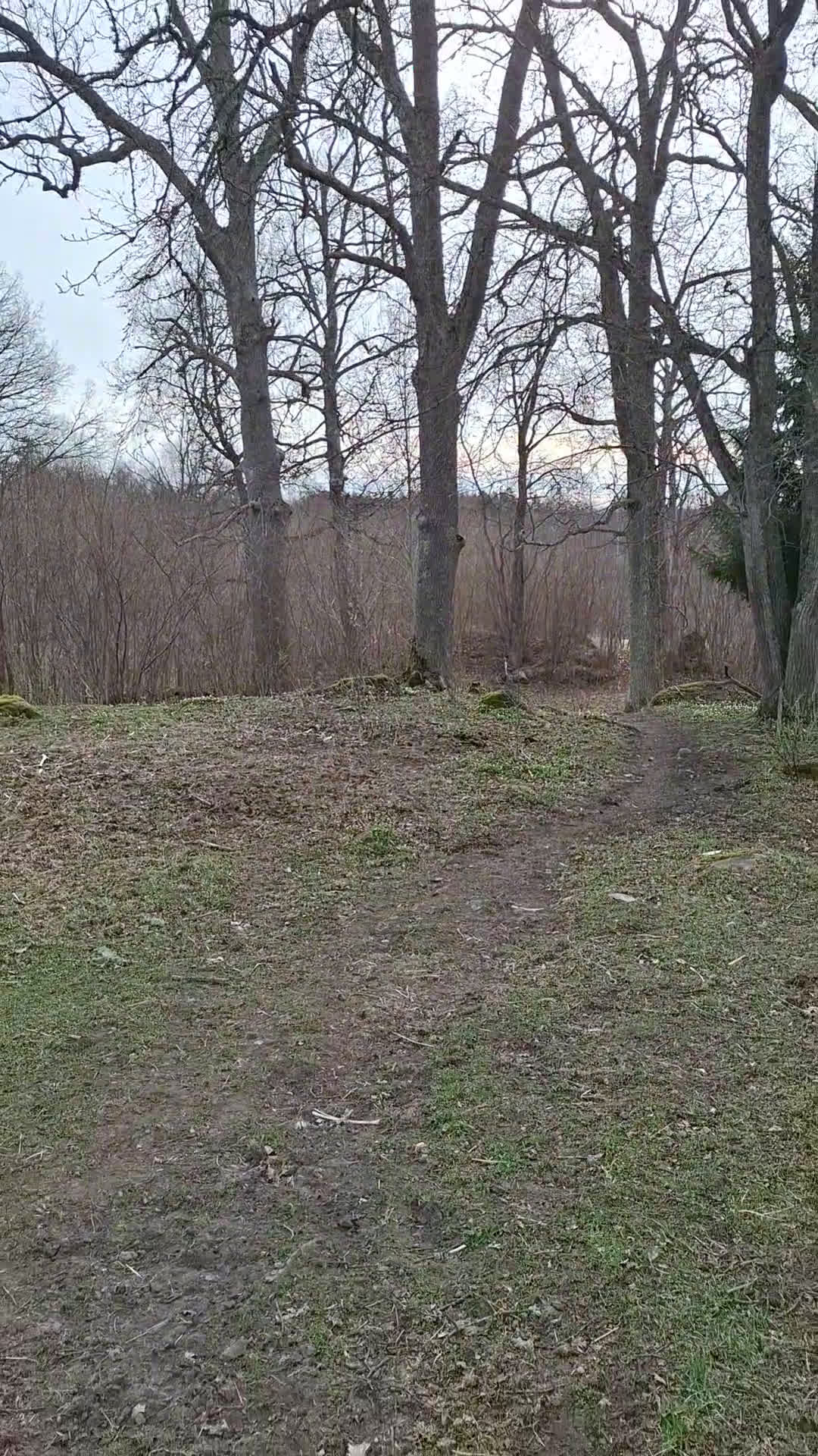  hästservice finnes: Utbilning/Försäljning med gedigen grundutbildning - Video 2